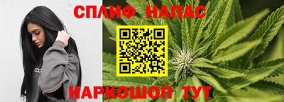 кокс Ставрополь