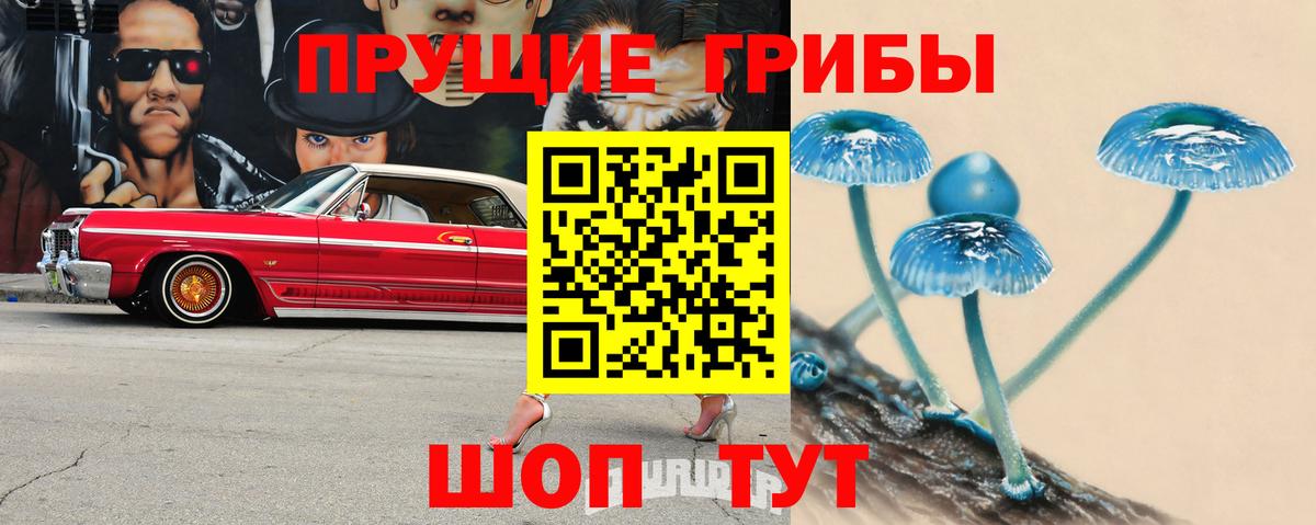 Галлюциногенные грибы мухоморы  Галлюциногенные грибы ЛСД  Вход с VPN  Назрань 
